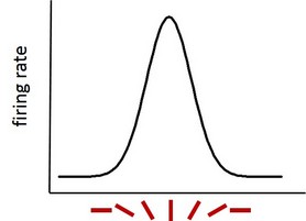 tuning curve small