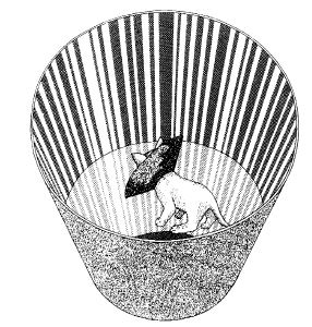 A kitten raised in a vertically-striped environment. Image taken from Blakemore, C., & Cooper, G. F. (1970). Development of the brain depends on the visual environment. Nature (228), 477-478